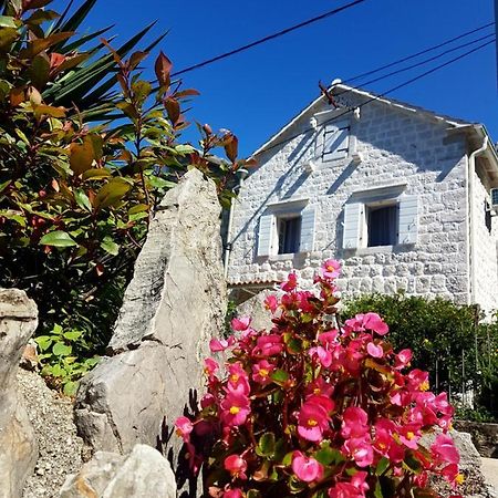 Old Stone Villa Lalosevic Kotor Extérieur photo